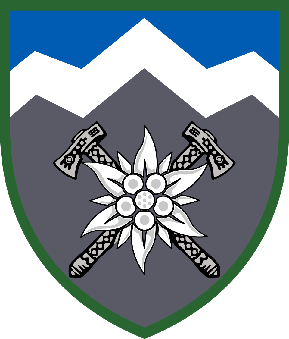 10th Separate Mountain Assault Brigade Edelweiss