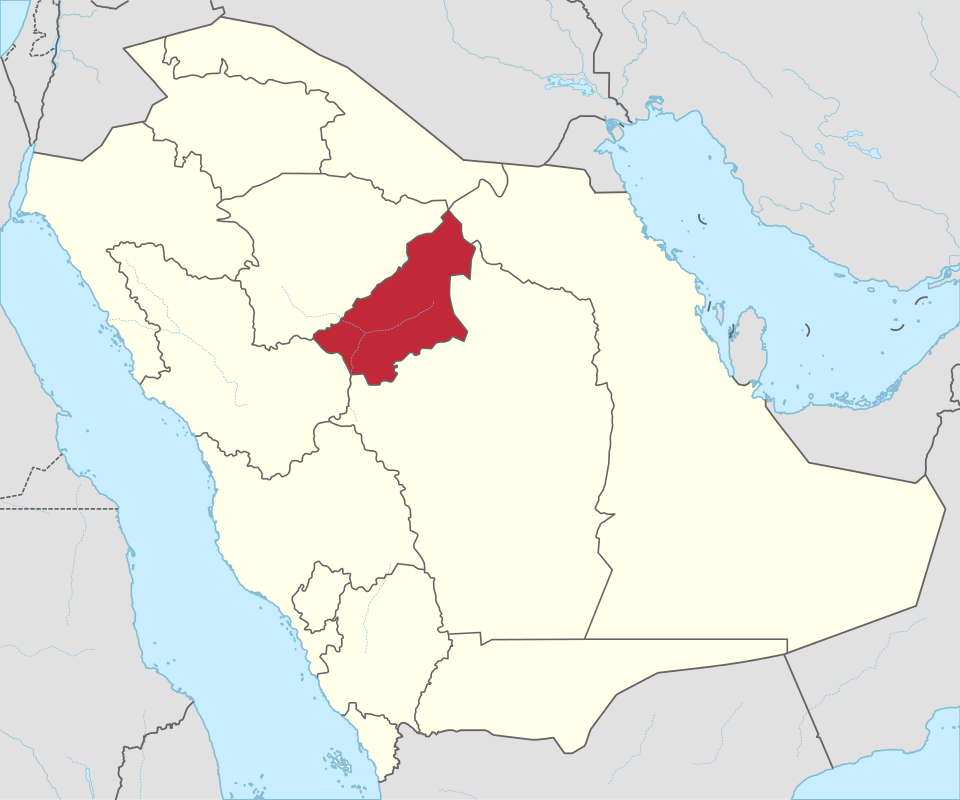 Adel Oufi