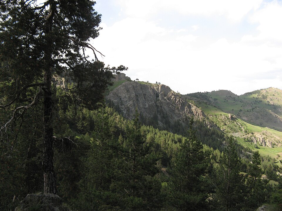 Adem Çelebi
