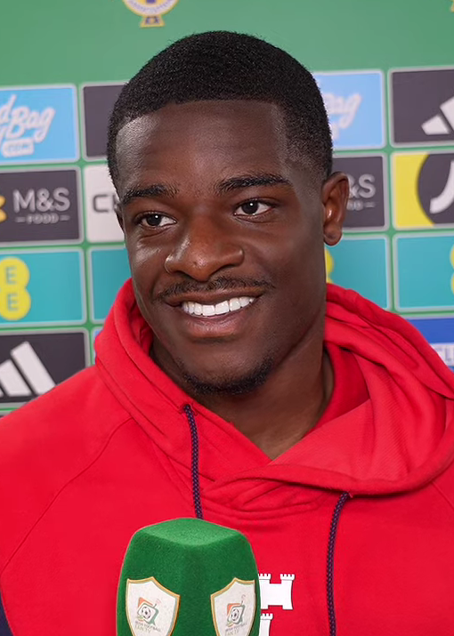 Ademipo Odubeko