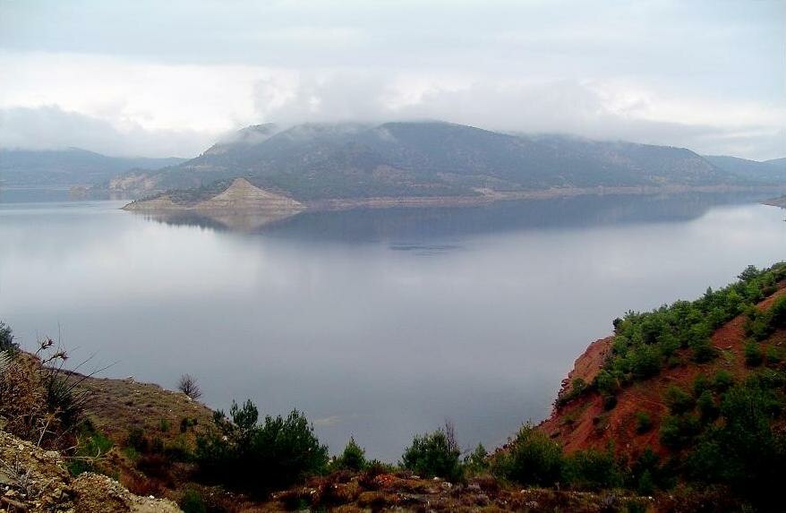 Adiguzel
