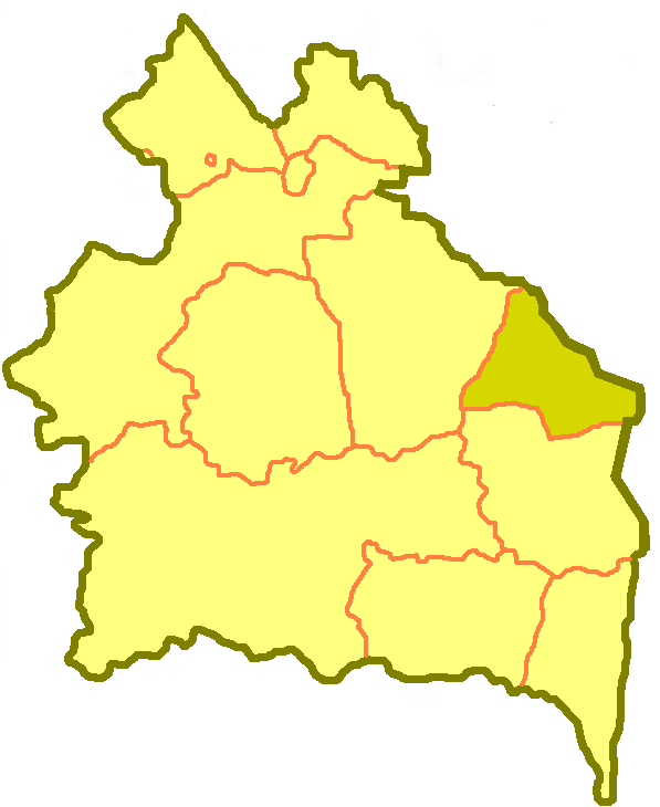 Adlet Kozhanbaev