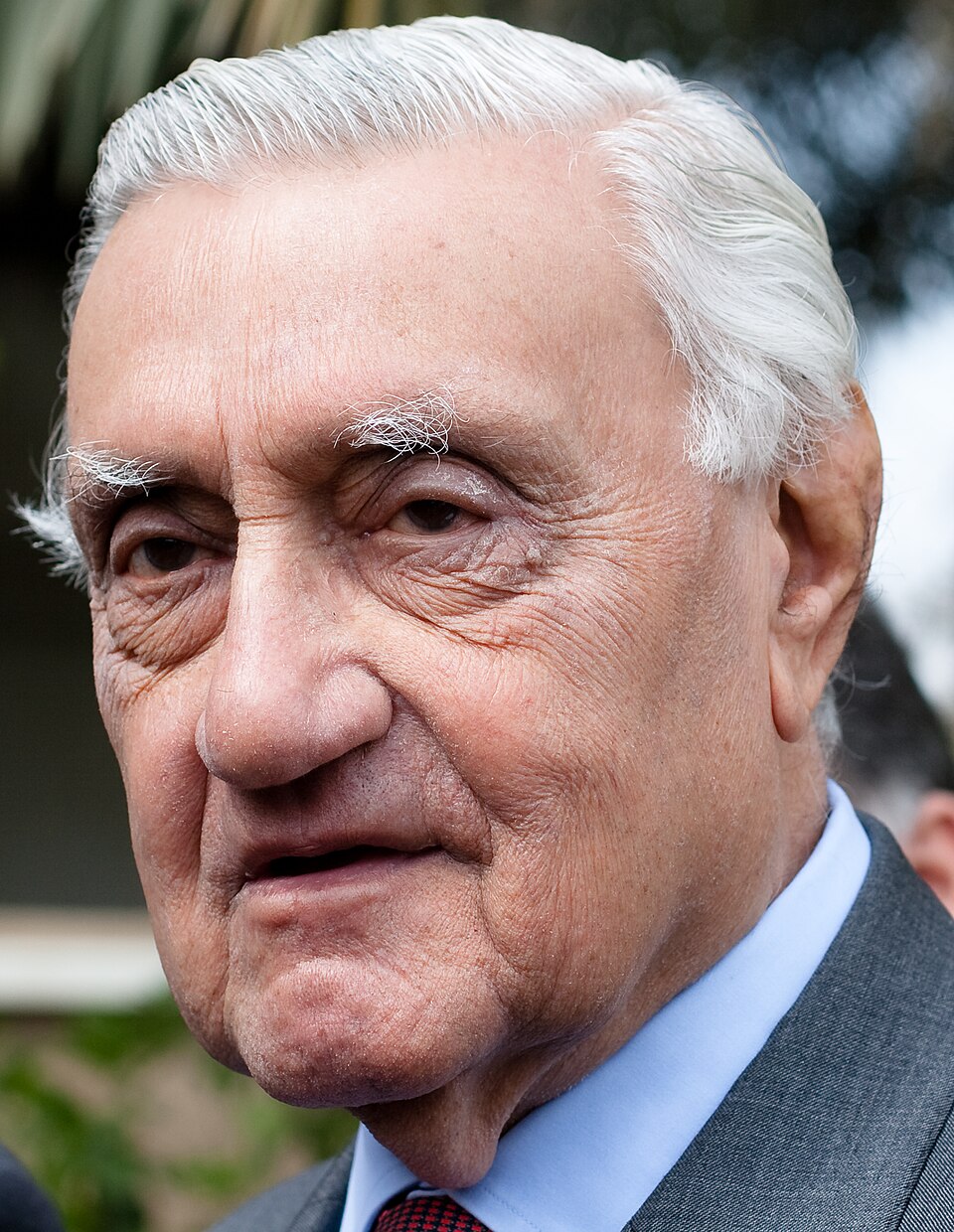 Adnan al-Pachachi