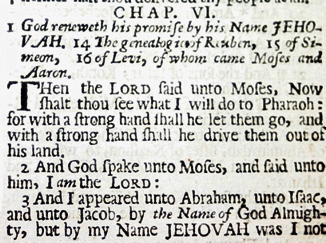 Adonai Lee-Francis