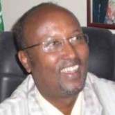 Ahmed Elmi