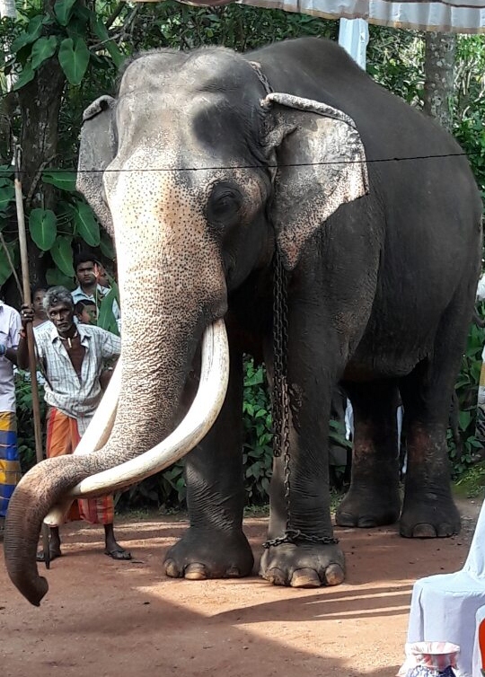 Ajith Nilanga