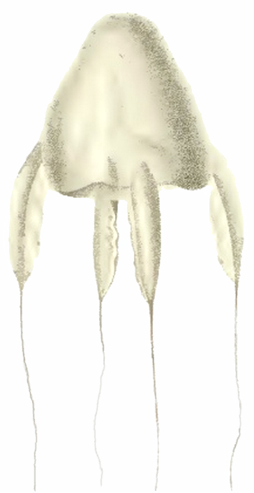 Alatina