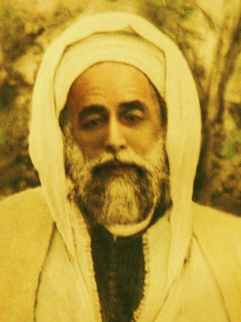 Alawi Sheikh