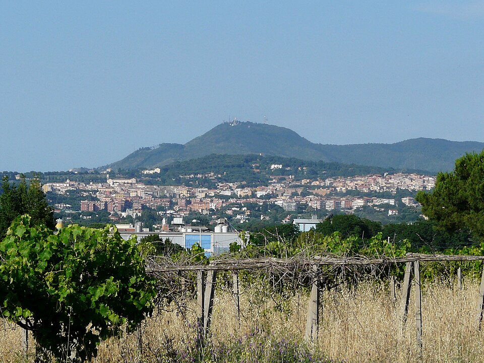 Albano Pinto