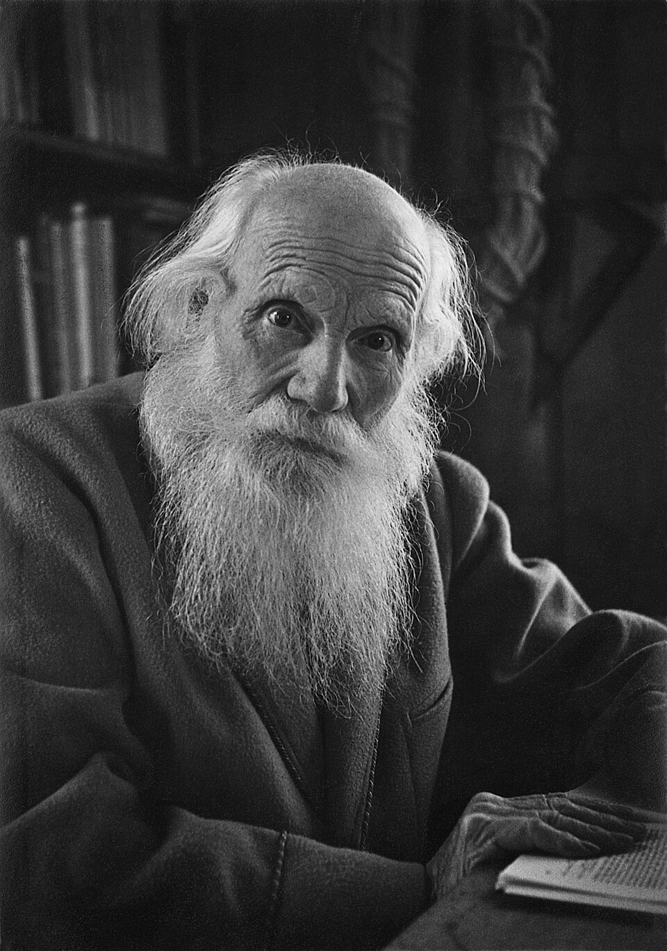 Albert Heim