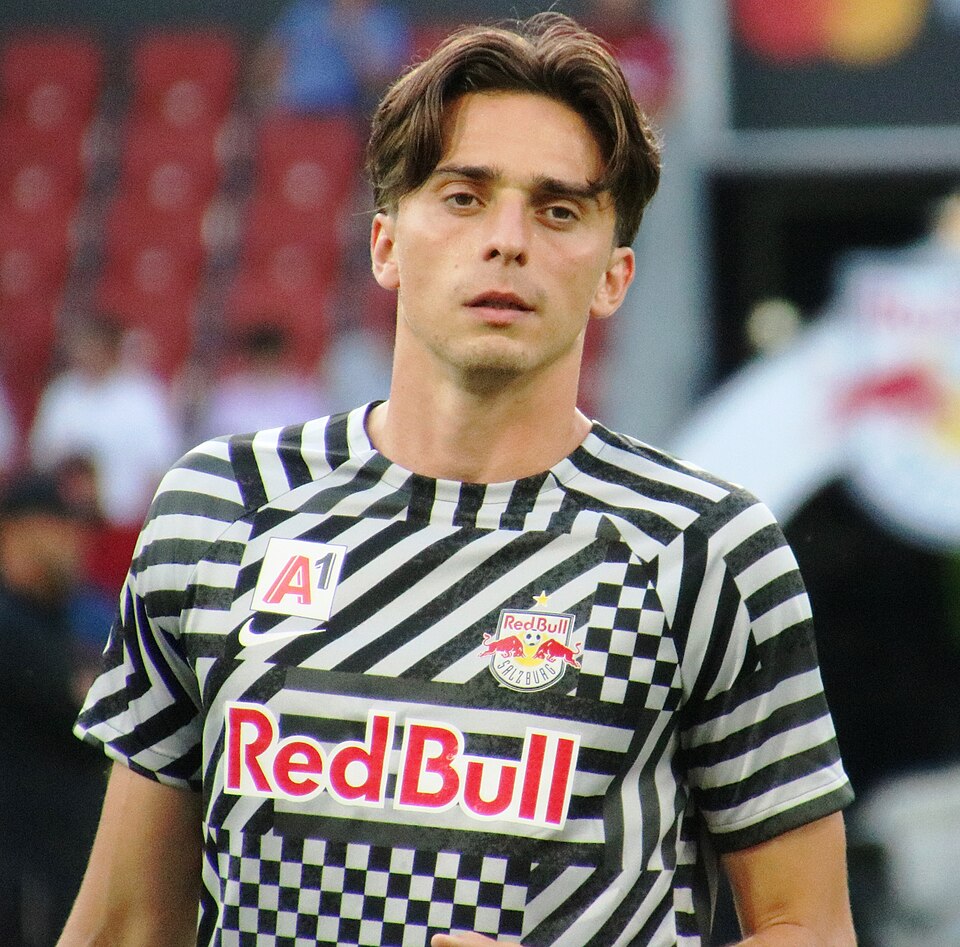 Albert Vallci