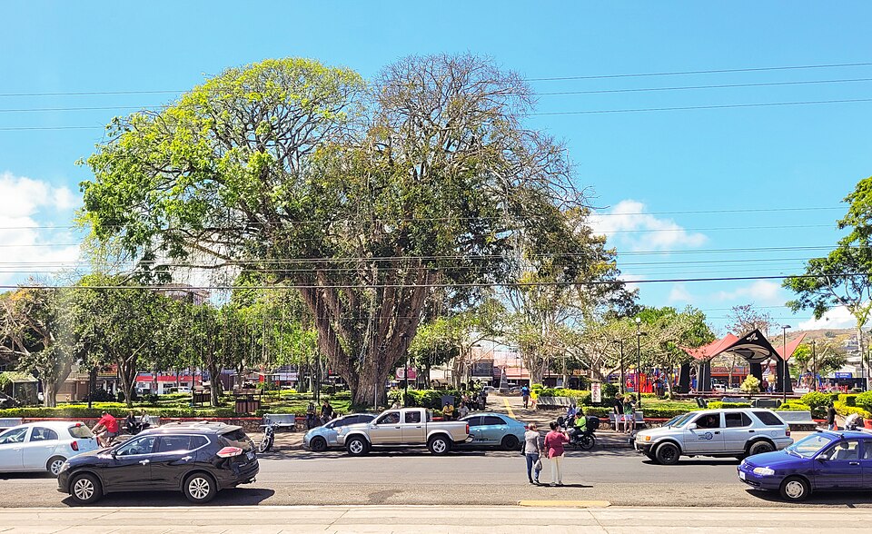 Alberto Aguacate