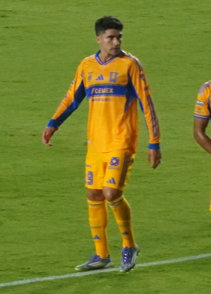 Alejandro Ibáñez