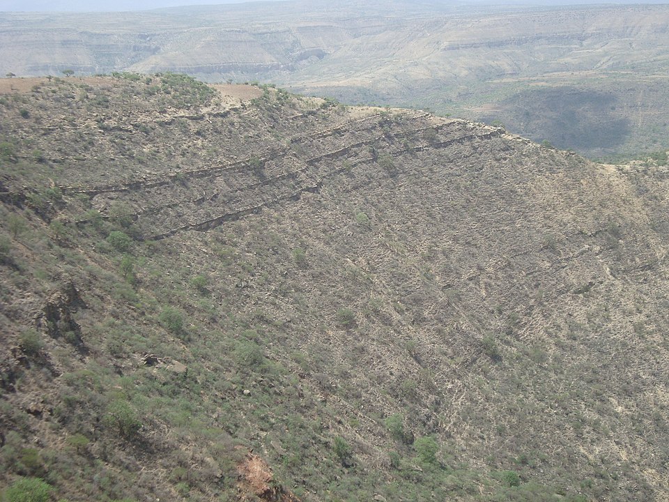Alemtsehay Mekuria