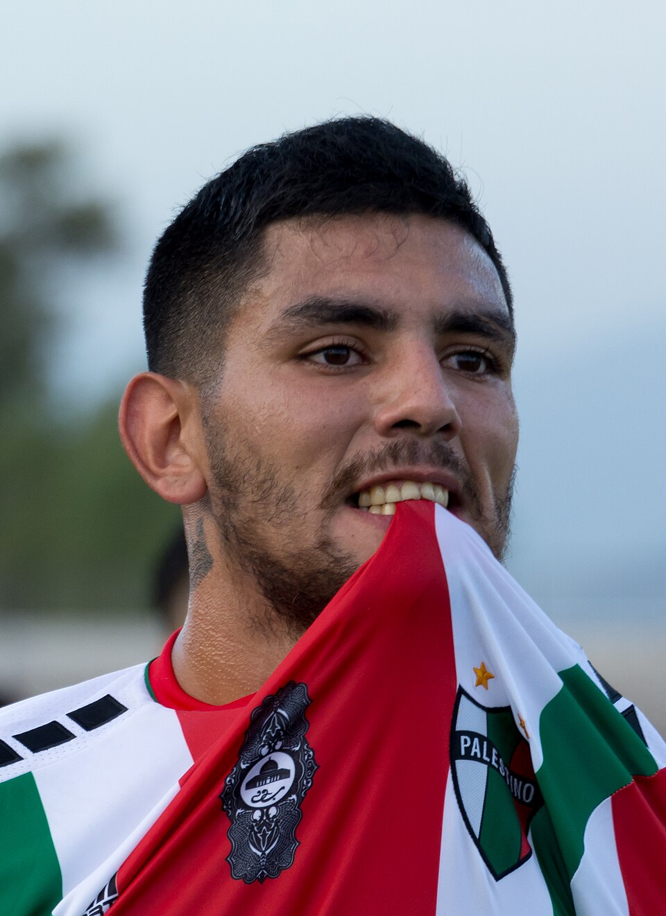 Alex Passerini