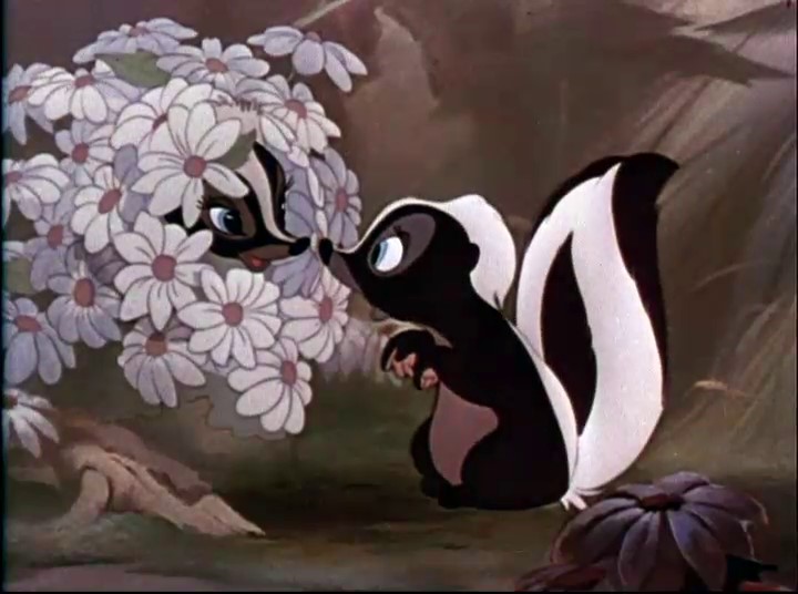 Alexander Flowers