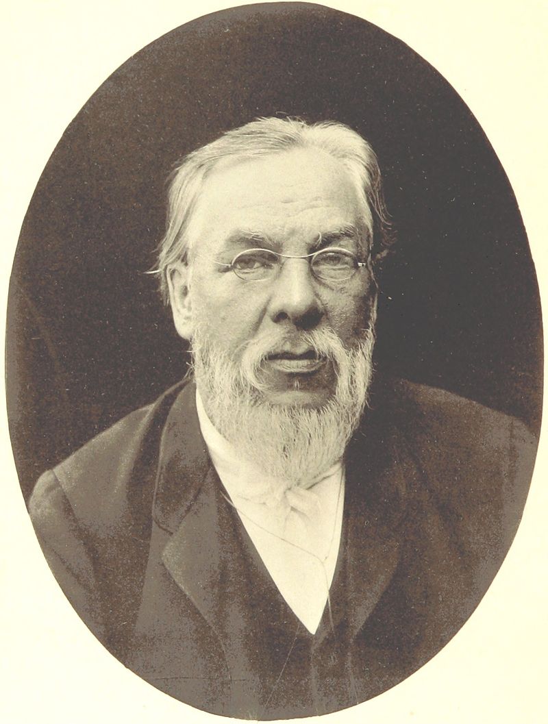 Alexander Kononovich