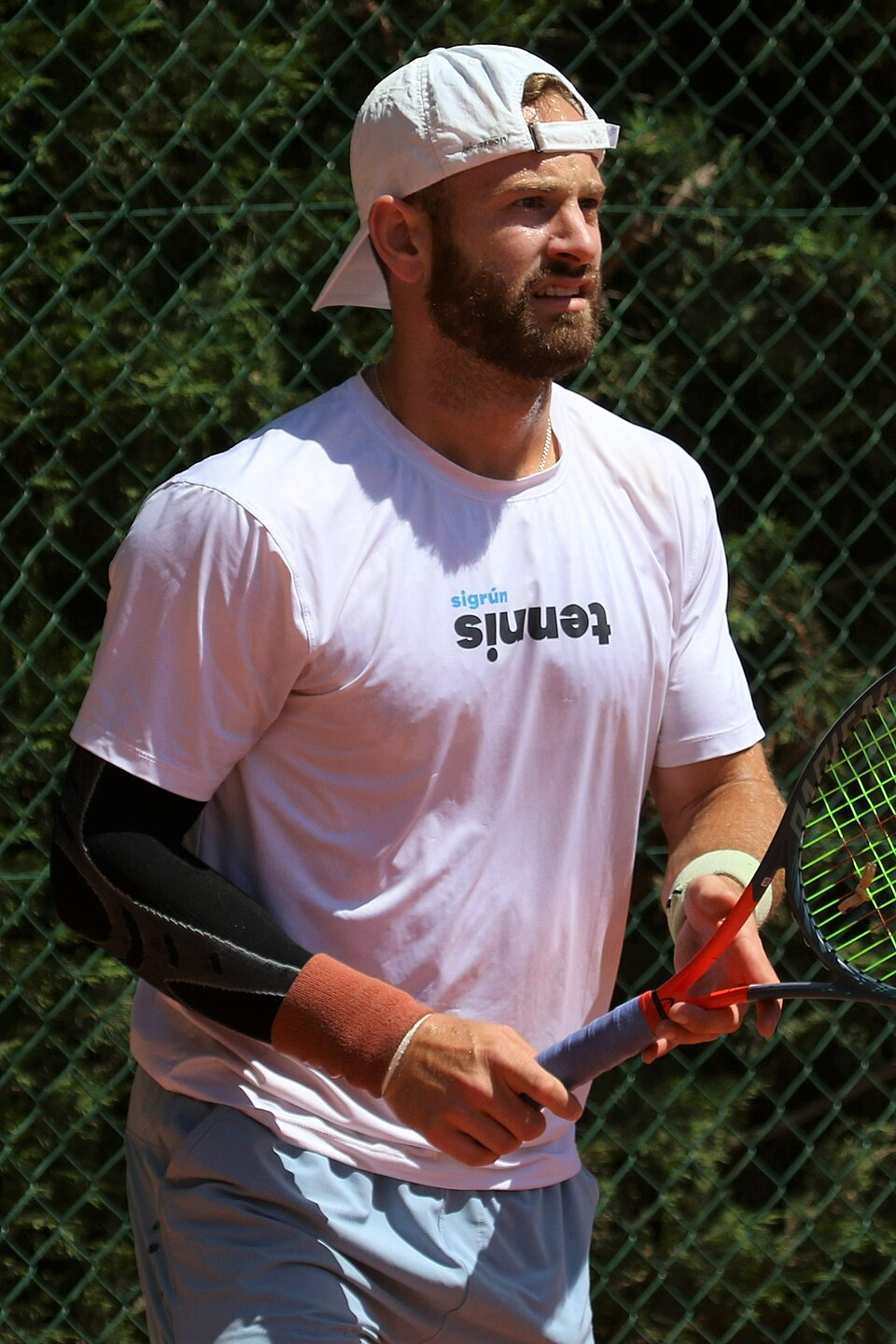 Alexandru Gozun