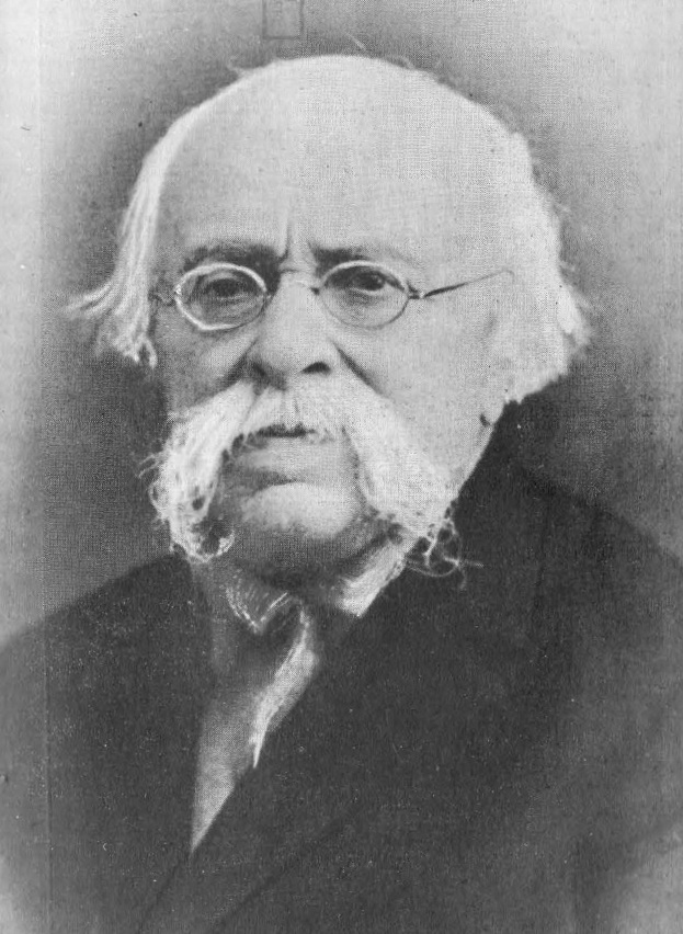 Alexandru Negrici