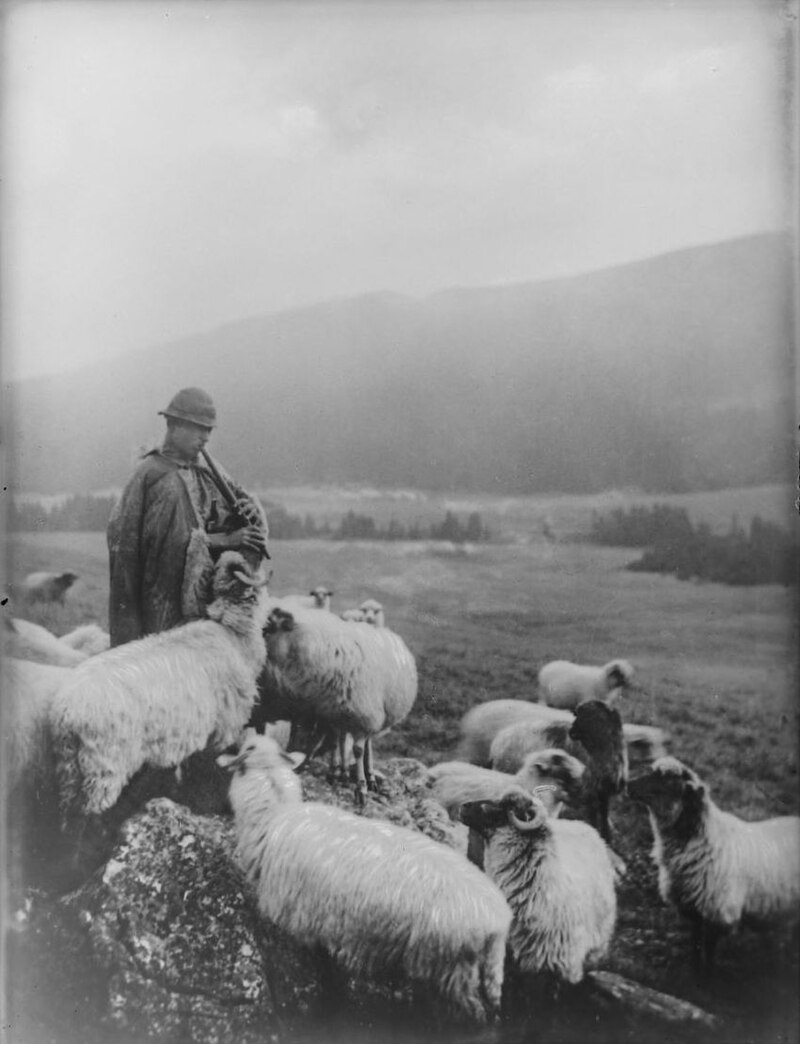 Alexandru Scripca