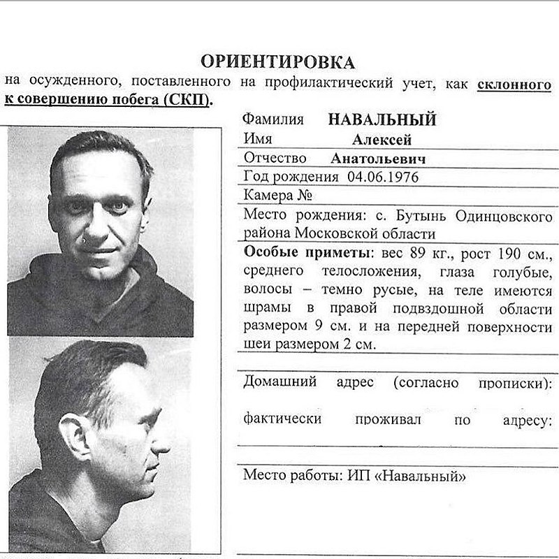 Alexei Navalnîi