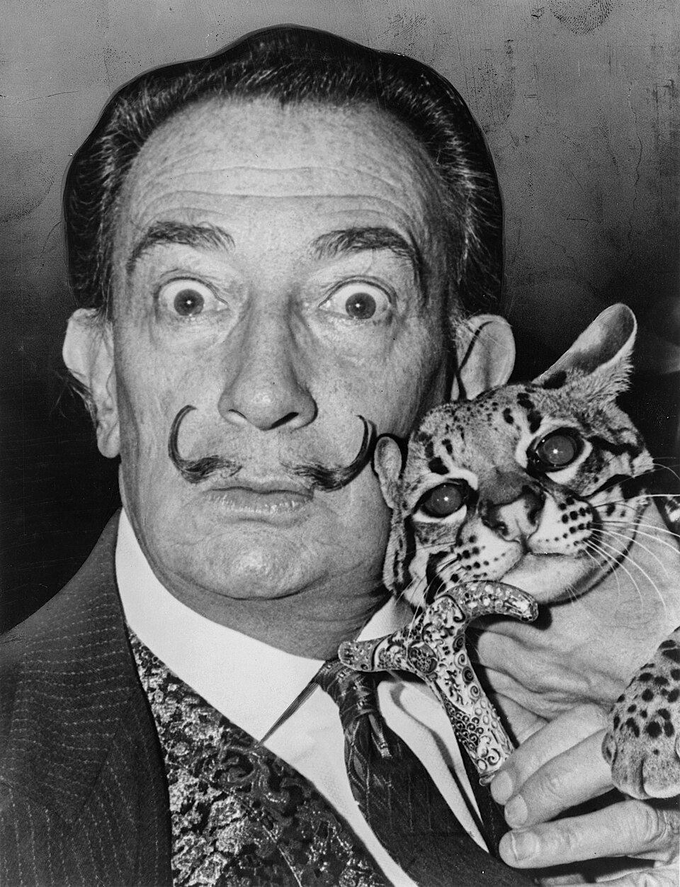 Alfonso Cat