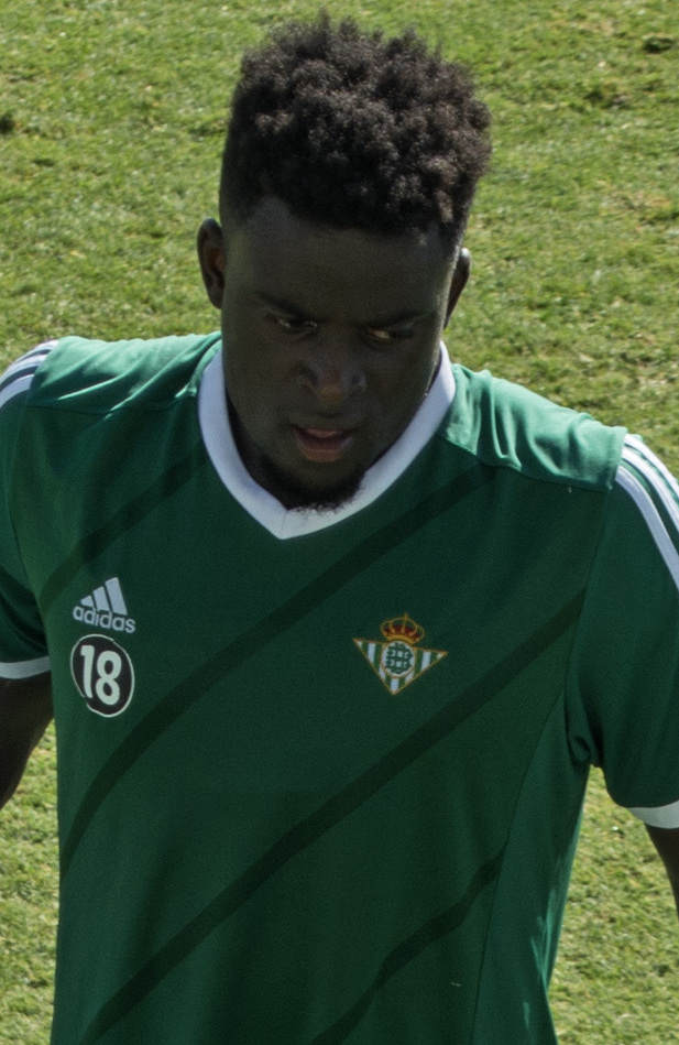 Alfred N’Diaye