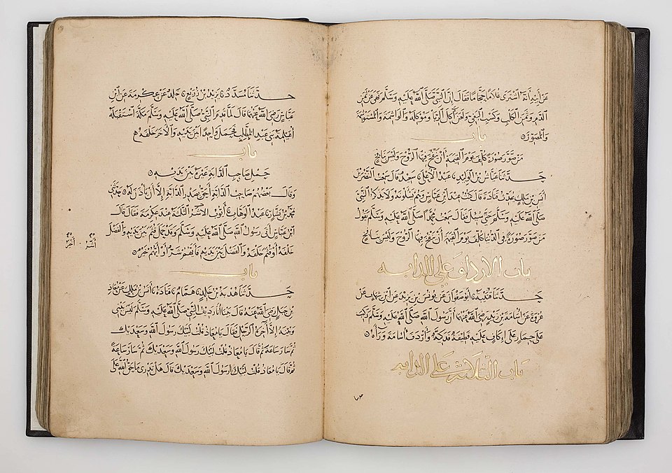Ali Al-Bukhari