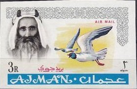 Ali Al-Nuaimi