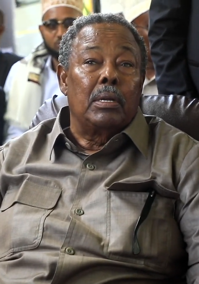 Ali Mahdi