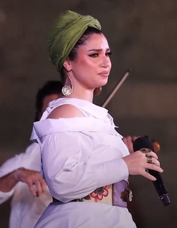 Ali Mahgoub