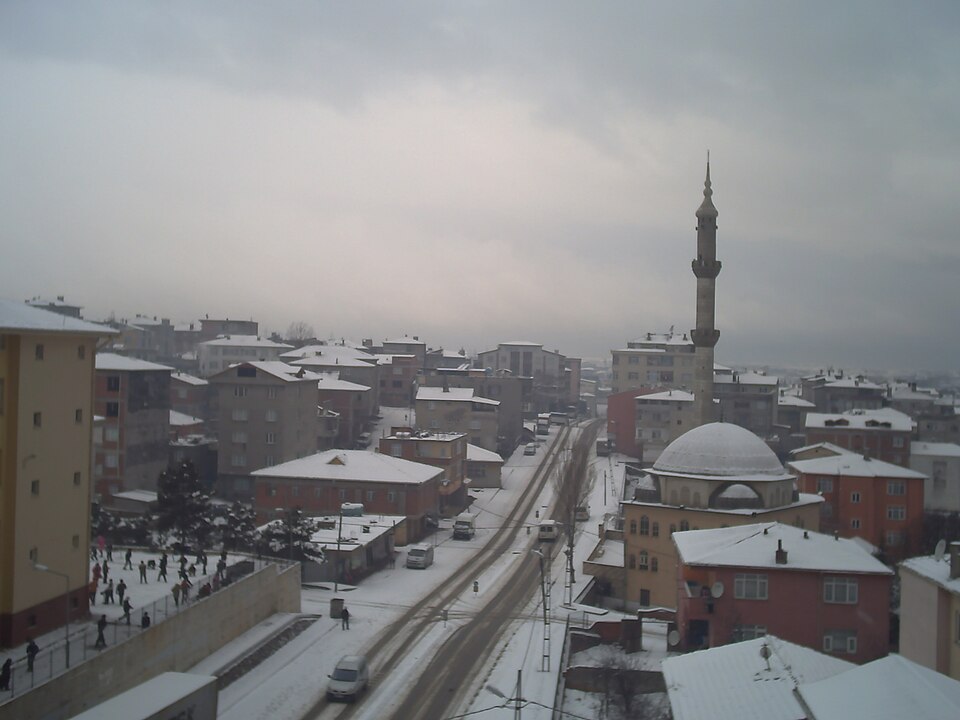 Ali Tombas