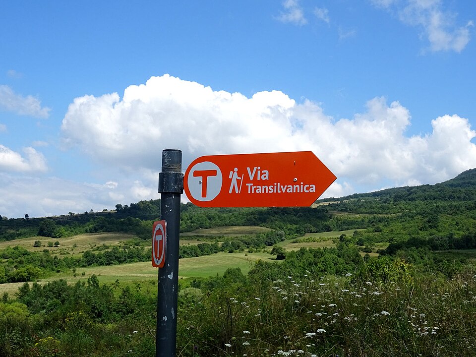 Alin Ușeriu