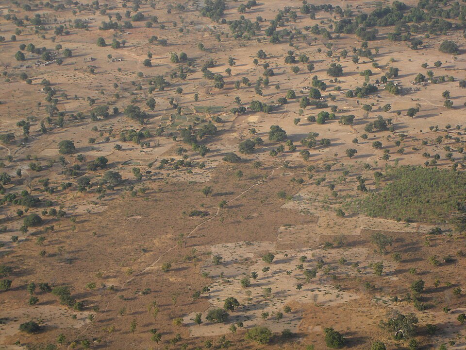 Amadé Ouédraogo