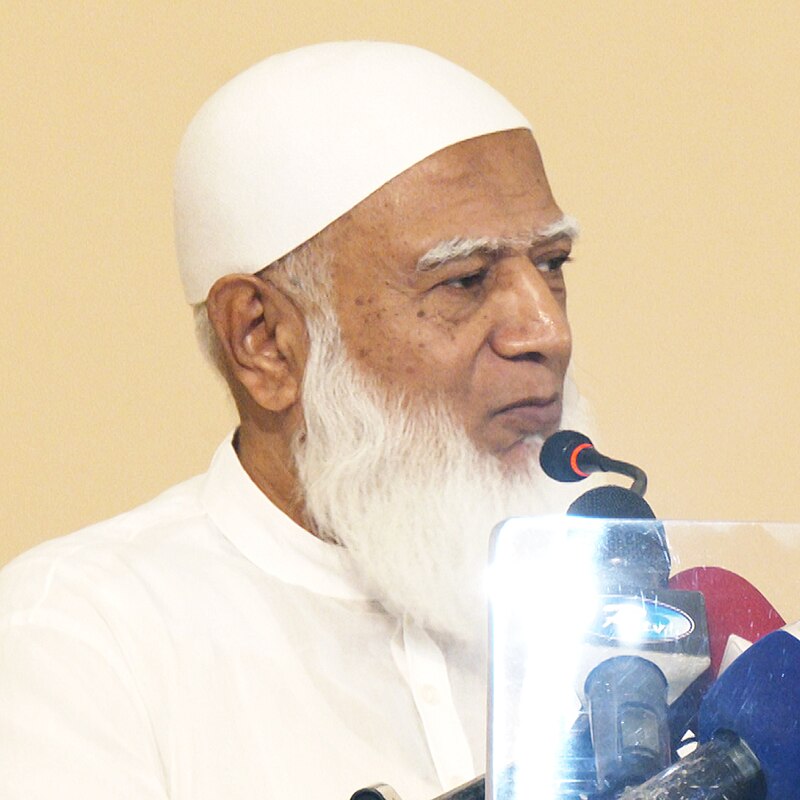 Ameer Rahman