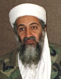 Ameer Sayed Ahmed