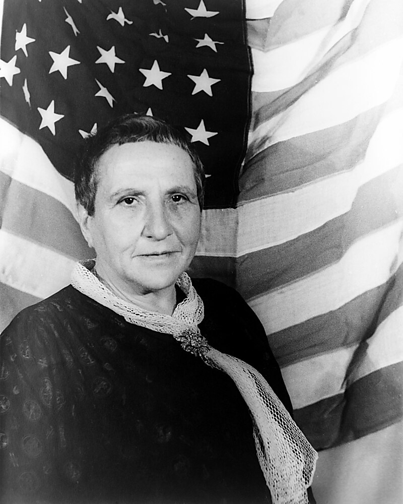 Amelia Stein