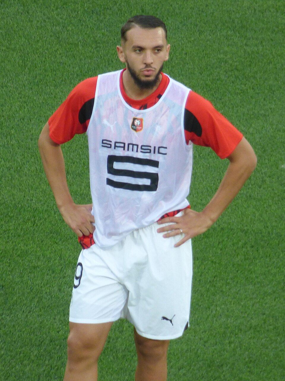 Amine Gouri