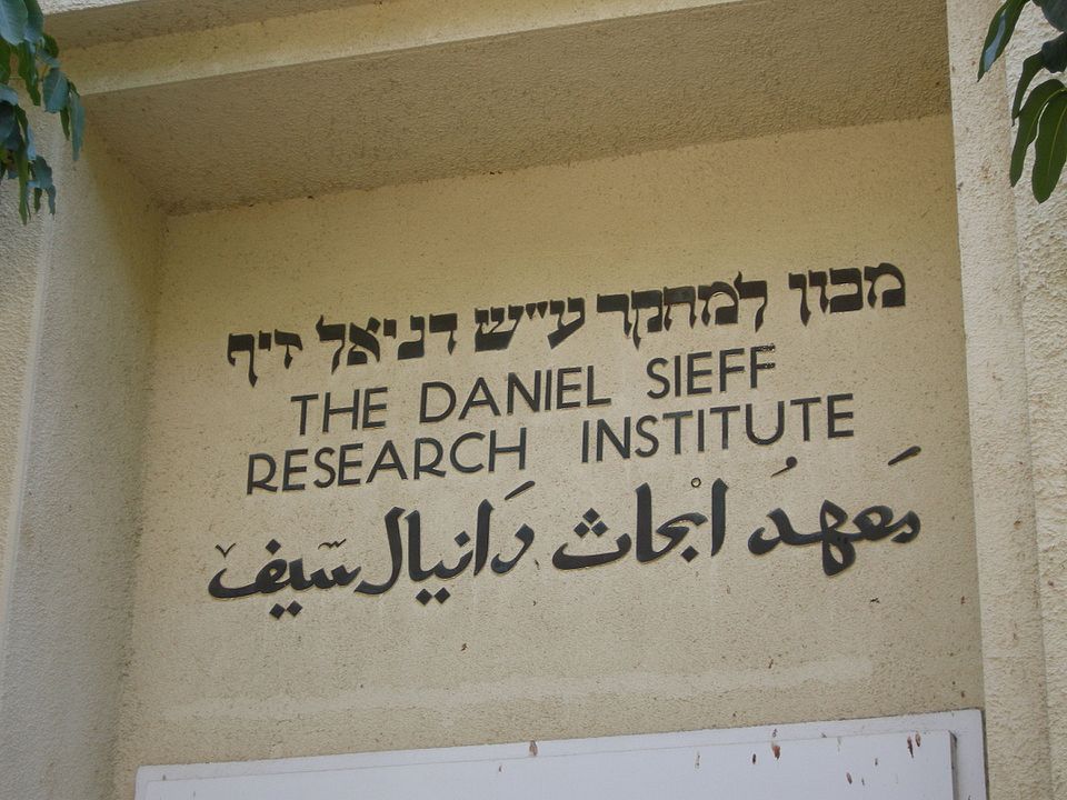 Amitai Alon