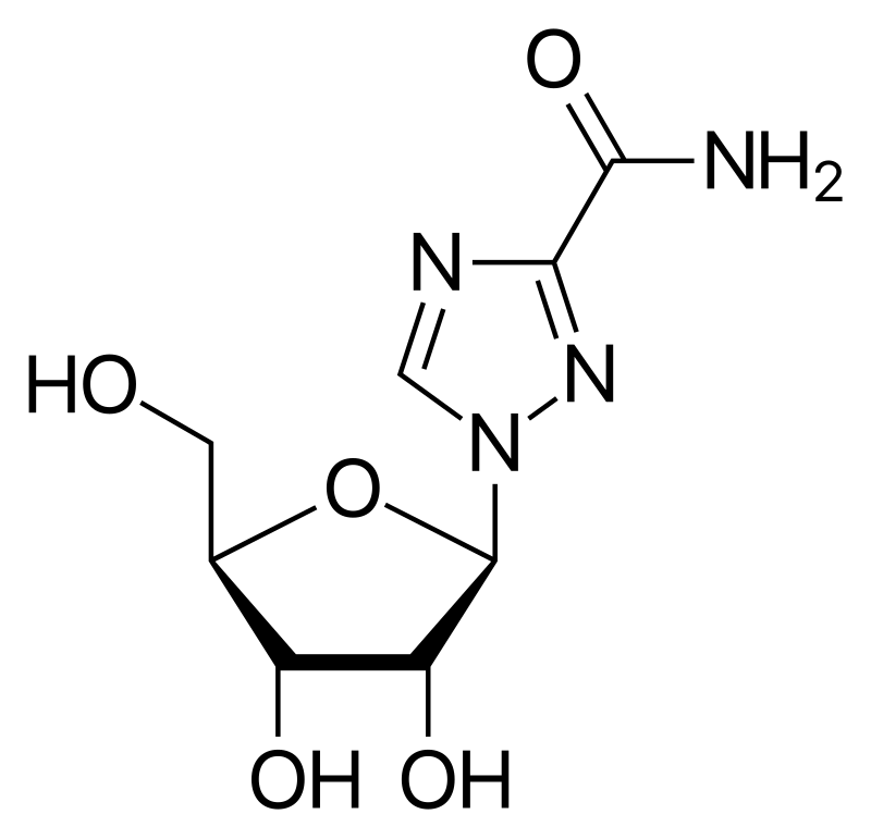 Aml Al-Amri