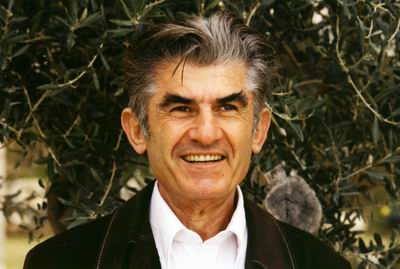 Amnon Tamir