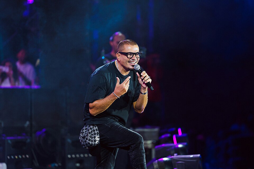 Amr Adel Mostafa