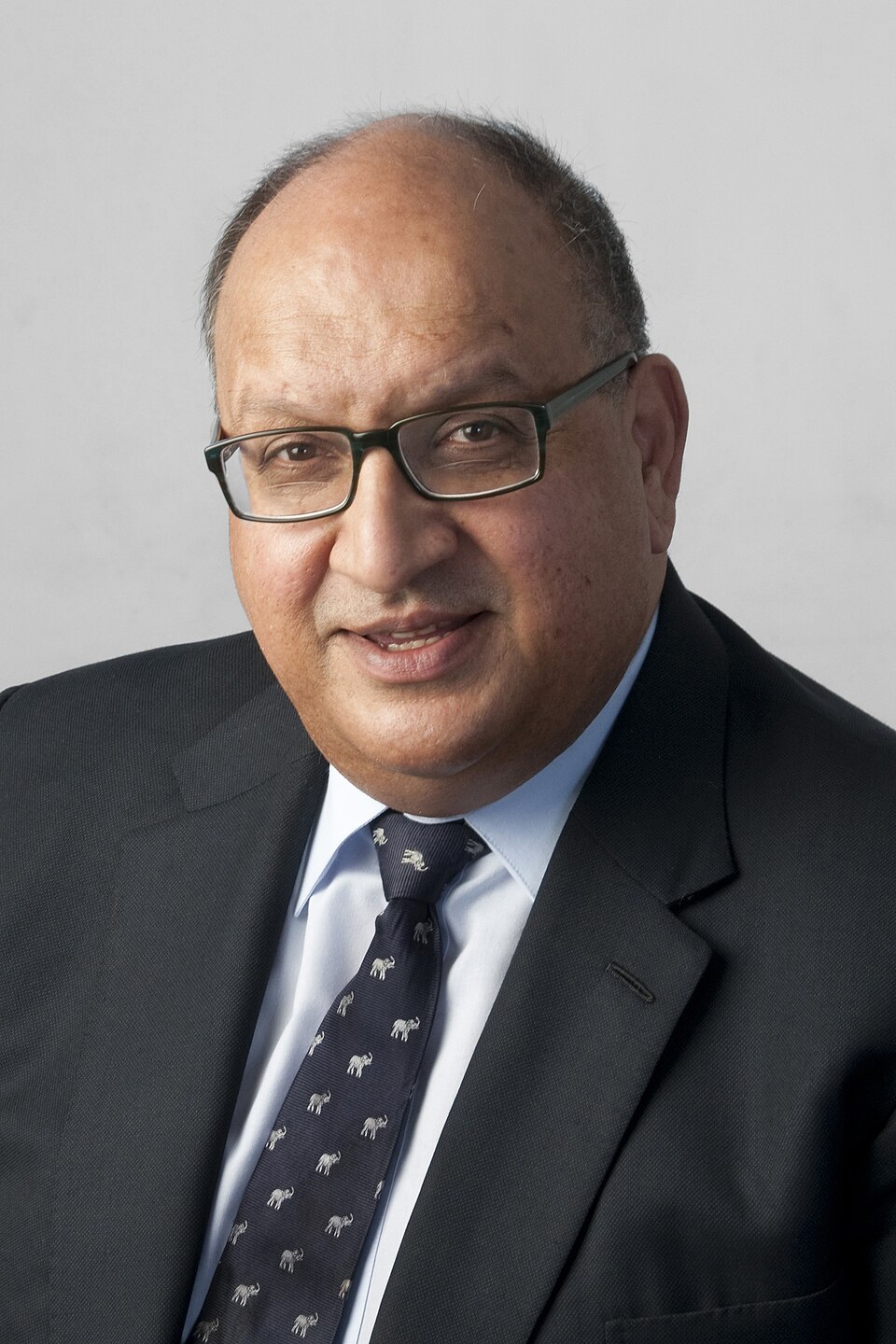 Anand Satyanand