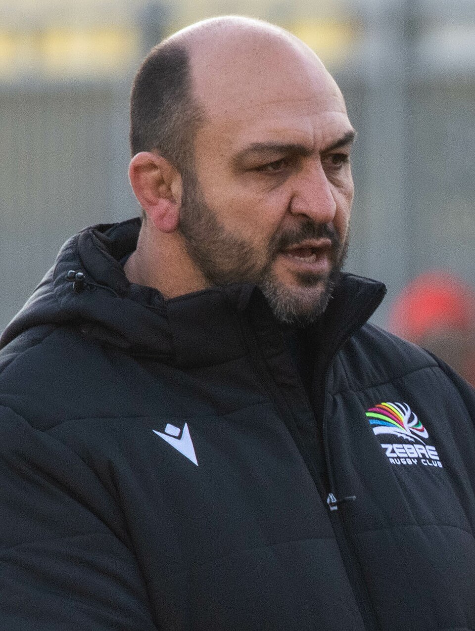 Andrea Bergamaschi