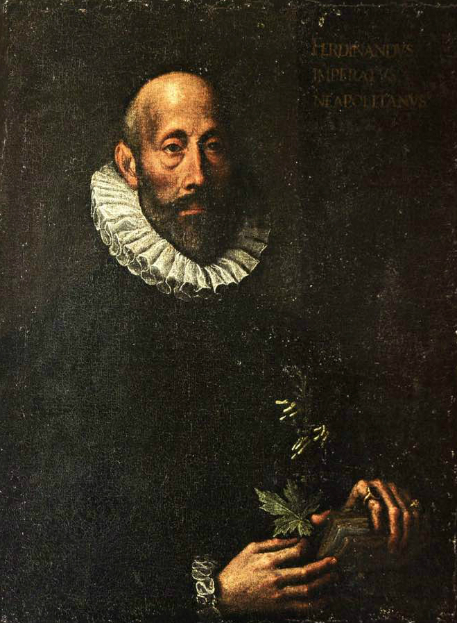 Andrea Francisi