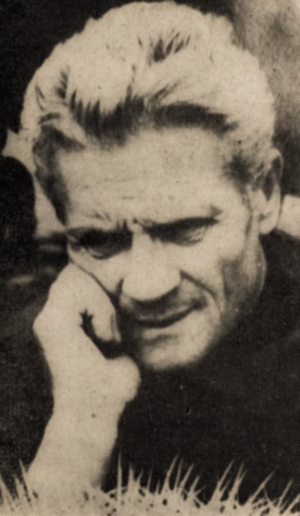 Andrei Bodea