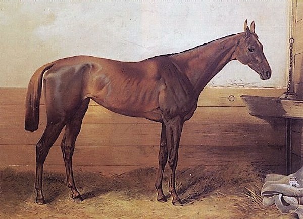 Angela Galop