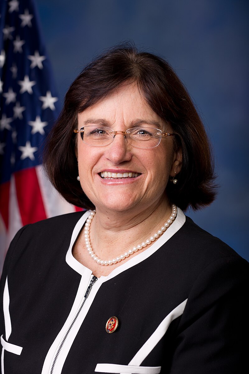 Ann Kuster