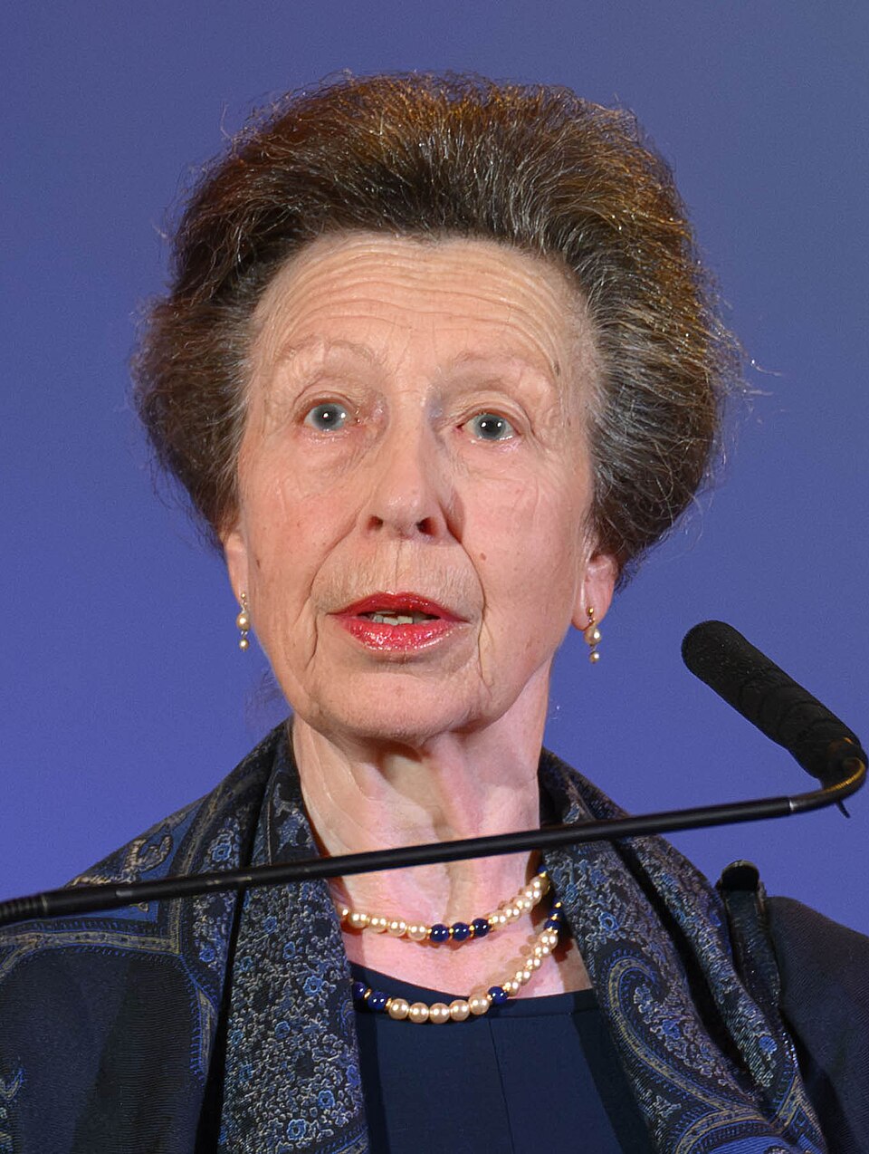 Anne Menes