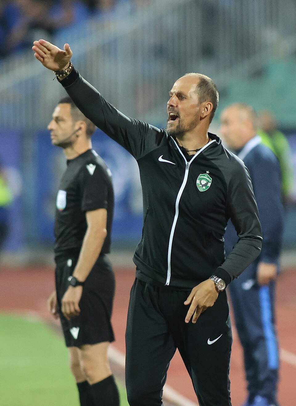 Ante Visković
